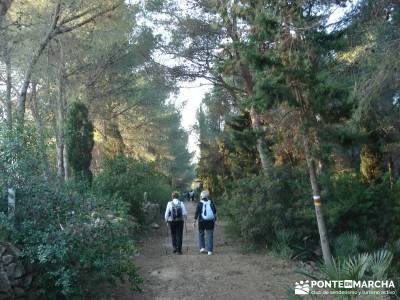  Parque Natural El Montgó y La Catedral del Senderismo;benasque senderismo el hierro senderismo